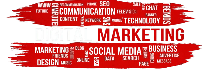 professional-digital-marketer-using-analytics/seo/social-media-marketing